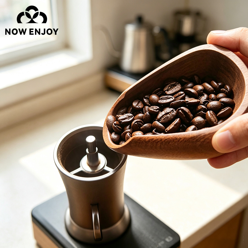 استمتع الآن بوعاء حبوب القهوة  - مراجعة Coffee Tea Bean Leaf وسعره